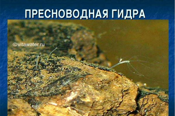 Кракен в обход