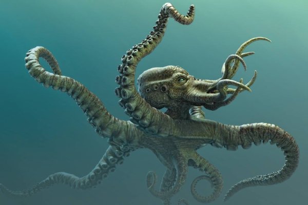 Кракен магазин kraken clear com