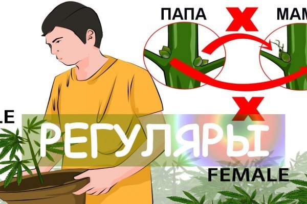 Рабочее зеркало кракен
