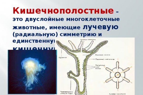 Кракен в обход