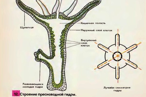 Kraken onion вход