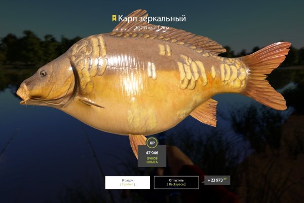 Кракен тор это